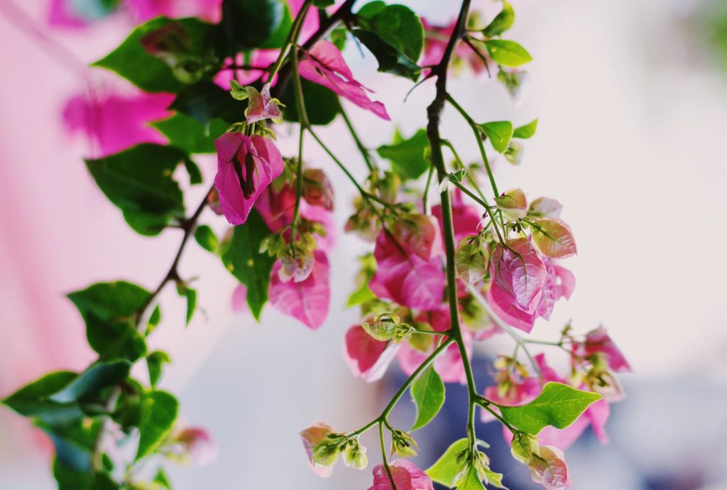 Doaa Fadally DTrNO MiB0k Unsplash 1024x690